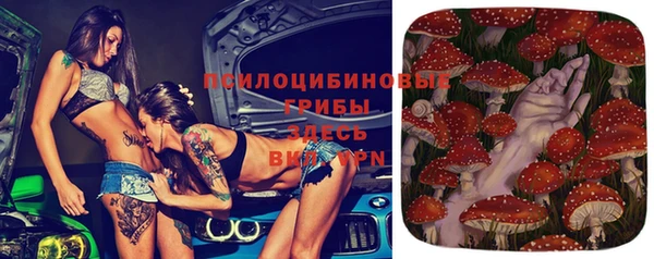apvp Навашино