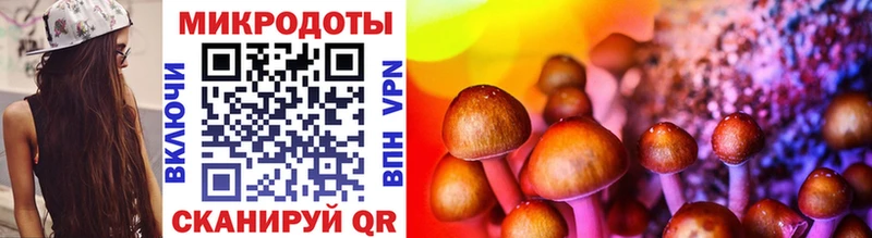 Галлюциногенные грибы Cubensis  ОМГ ОМГ зеркало  Горячеводский  купить закладку 